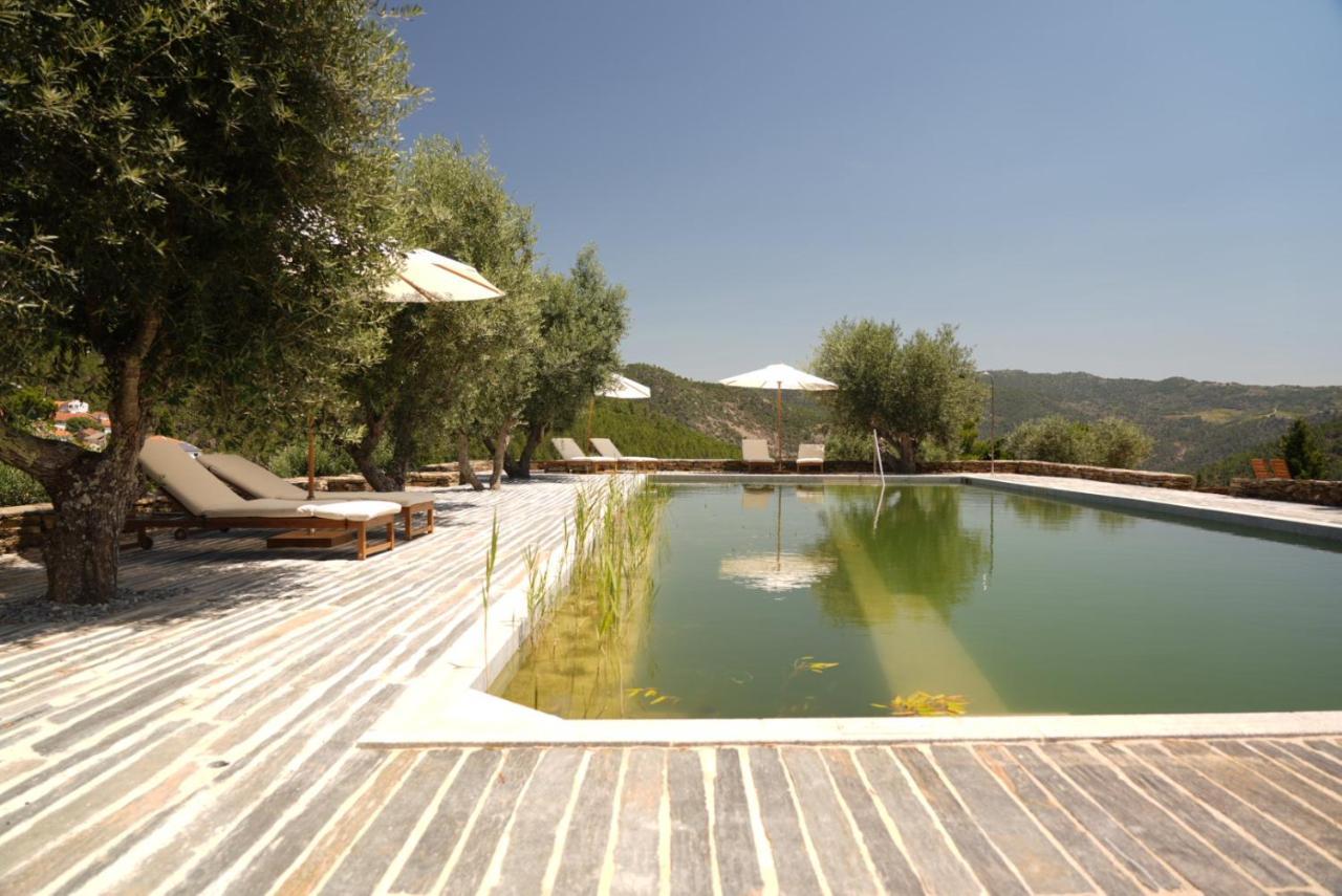 Quinta Vila Rachel - Winery Sao Mamede de Ribatua Exterior foto