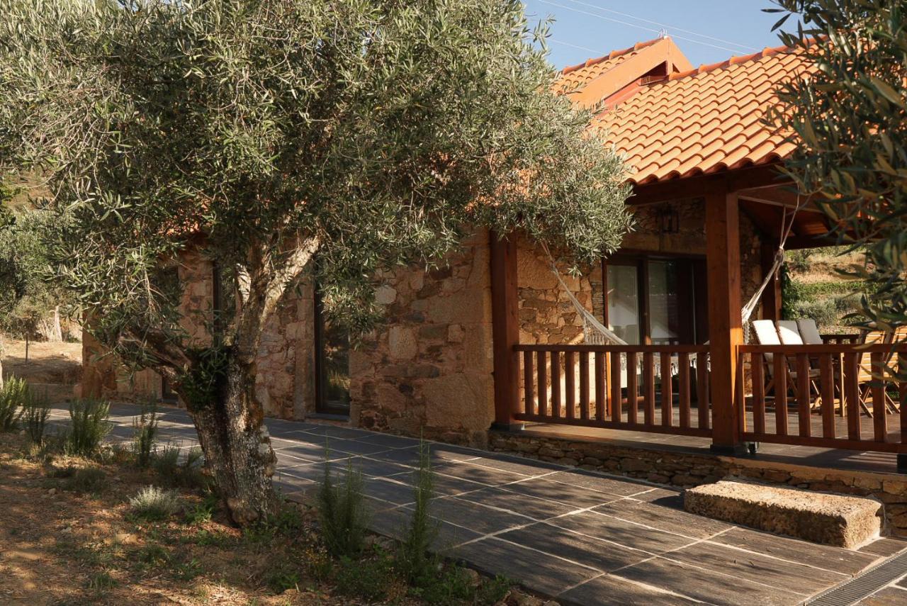 Quinta Vila Rachel - Winery Sao Mamede de Ribatua Exterior foto